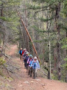 Senior Center hiking trips